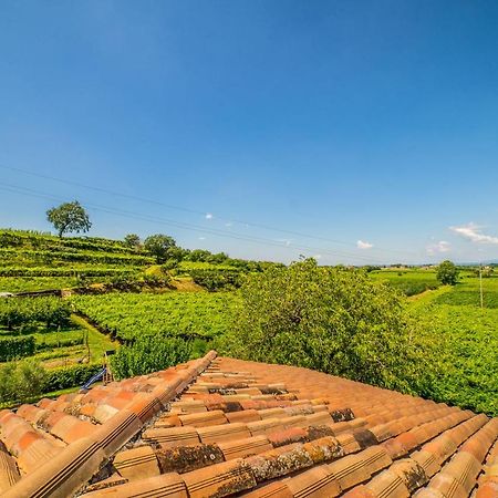 Agriturismo Corte Albarel Castelnuovo del Garda Exterior foto