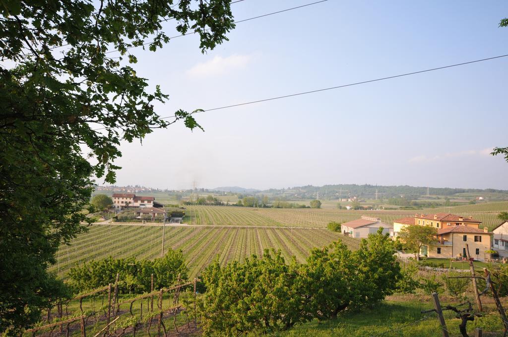 Agriturismo Corte Albarel Castelnuovo del Garda Exterior foto